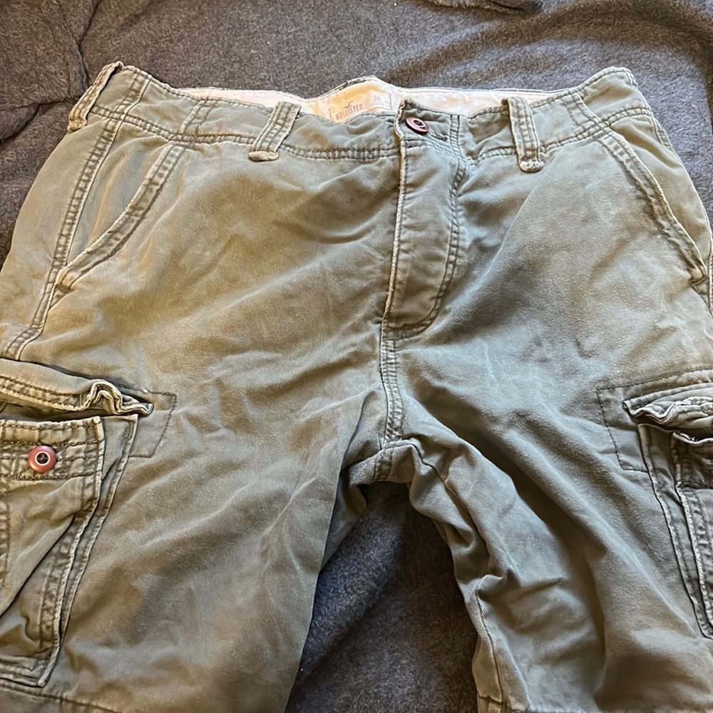 Hollister plus size cargos